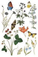 Load image into Gallery viewer, IOD Wilde Bloemen Transfer