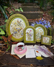 Load image into Gallery viewer, Flora Greca IOD 8 x 12 IOD Transfer Set