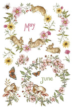 Load image into Gallery viewer, The Bramblewood Diaries
Transfer | 8 Pages | 8” x 12” | Full Color