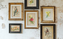 Load image into Gallery viewer, IOD Catharina Transfer Set
