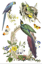 Load image into Gallery viewer, Flora Greca IOD 8 x 12 IOD Transfer Set