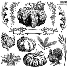 Load image into Gallery viewer, IOD Autumn Blessings 12 x 12 Stamp