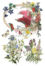 Load image into Gallery viewer, Flora Greca IOD 8 x 12 IOD Transfer Set