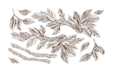 Load image into Gallery viewer, IOD Viridis 6x10 Mould