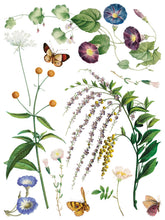 Load image into Gallery viewer, Marché des Fleurs
IOD Transfer | 8 Pages | 12” x 16” | Full Color