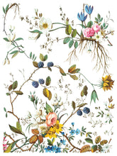 Load image into Gallery viewer, IOD Lost Garden Transfer Set