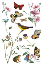 Load image into Gallery viewer, IOD Wilde Bloemen Transfer