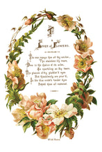 Load image into Gallery viewer, IOD Lover of Flowers 8x 12 transfer Pad