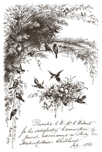 Load image into Gallery viewer, Little Lark
IOD Paint Inlay | 8 Pages | 8” x 12” | 3 Color