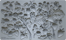 Load image into Gallery viewer, IOD Wild Berries Mould
