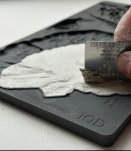 Load image into Gallery viewer, Spring Garden 6 x 10 IOD Mould