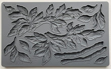 Load image into Gallery viewer, IOD Viridis 6x10 Mould