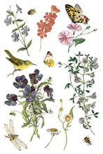 Load image into Gallery viewer, IOD Wilde Bloemen Transfer