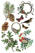 Load image into Gallery viewer, IOD Winter Botanist 8x12 Transfer Pad