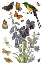 Load image into Gallery viewer, IOD Wilde Bloemen Transfer