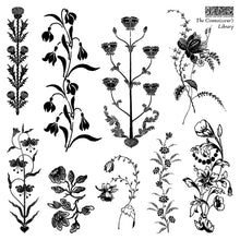 Load image into Gallery viewer, The Connoisseur’s Library
IOD Stamp | 6” x 6” | Four Sheet Boxed Set