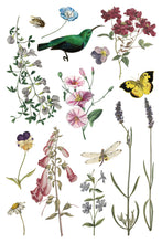 Load image into Gallery viewer, IOD Wilde Bloemen Transfer
