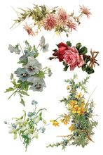 Load image into Gallery viewer, IOD Catharina Transfer Set
