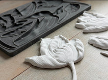 Load image into Gallery viewer, Tulips 6 x 10 IOD Mould