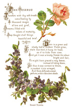 Load image into Gallery viewer, IOD Lover of Flowers 8x 12 transfer Pad