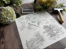 Load image into Gallery viewer, IOD Meadowlark 12 x 12 Stamp