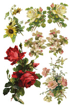 Load image into Gallery viewer, IOD Catharina Transfer Set