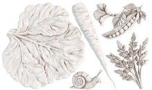 Load image into Gallery viewer, Spring Garden 6 x 10 IOD Mould