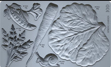 Load image into Gallery viewer, Spring Garden 6 x 10 IOD Mould