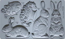 Load image into Gallery viewer, Les Lapins 6 x 10 IOD Mould
