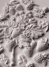 Load image into Gallery viewer, IOD Wild Berries Mould