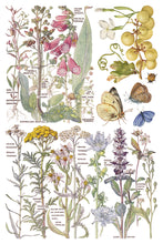 Load image into Gallery viewer, Primrose Isle
IOD Transfer | 8 Pages | 8” x 12” | Full Color