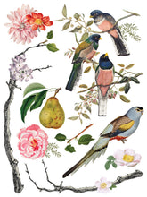 Load image into Gallery viewer, IOD 12 x 16 Menagerie Transfer Set