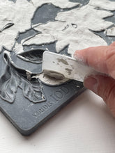 Load image into Gallery viewer, IOD Viridis 6x10 Mould