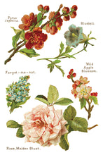 Load image into Gallery viewer, IOD Lover of Flowers 8x 12 transfer Pad