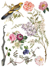 Load image into Gallery viewer, IOD 12 x 16 Menagerie Transfer Set