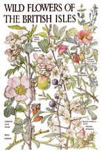 Load image into Gallery viewer, Primrose Isle
IOD Transfer | 8 Pages | 8” x 12” | Full Color
