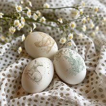 Load image into Gallery viewer, IOD Spring Melody Paint Inlay