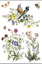 Load image into Gallery viewer, Flora Greca IOD 8 x 12 IOD Transfer Set