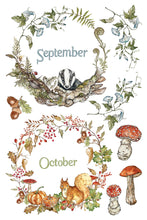Load image into Gallery viewer, The Bramblewood Diaries
Transfer | 8 Pages | 8” x 12” | Full Color
