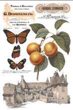 Load image into Gallery viewer, Saint Ouen 8 x 12 IOD Transfer Set