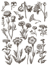 Load image into Gallery viewer, IOD Floriography Paint Inlay