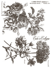 Load image into Gallery viewer, IOD Floriography Paint Inlay