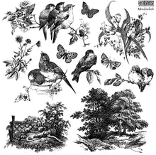Load image into Gallery viewer, IOD Meadowlark 12 x 12 Stamp