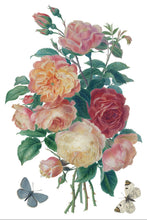 Load image into Gallery viewer, Saint Ouen 8 x 12 IOD Transfer Set
