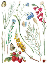 Load image into Gallery viewer, Marché des Fleurs
IOD Transfer | 8 Pages | 12” x 16” | Full Color