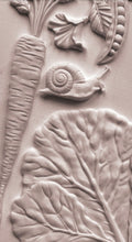 Load image into Gallery viewer, Spring Garden 6 x 10 IOD Mould