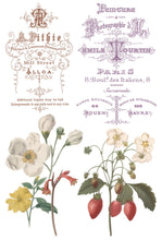Load image into Gallery viewer, Saint Ouen 8 x 12 IOD Transfer Set