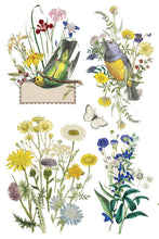 Load image into Gallery viewer, Flora Greca IOD 8 x 12 IOD Transfer Set