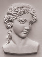 Load image into Gallery viewer, Persephone 5 x7 IOD Mould