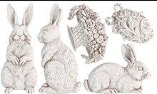 Load image into Gallery viewer, Les Lapins 6 x 10 IOD Mould
